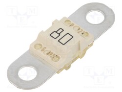 153.5631.5801 - LITTELFUSE