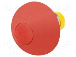 46-2531.1K20.000 - EAO