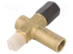 910.13/9091661 - WIKA