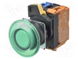 A22NLBMATGAG100GC - OMRON