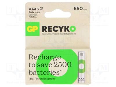 ACCU-R3/650-GP-B2N - 1