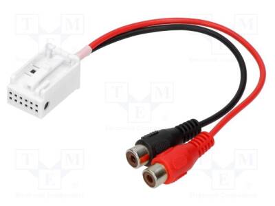 AUX-BMW.05-RCA - 1