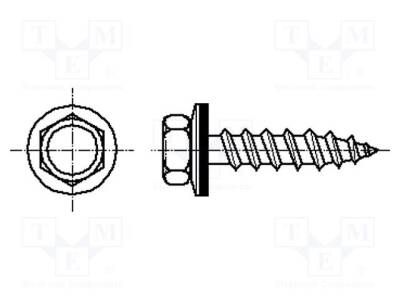 B6.5X25/BN53 - 1