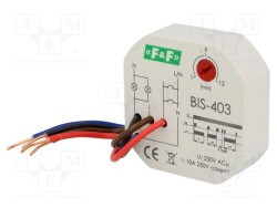 BIS-403 - F&F