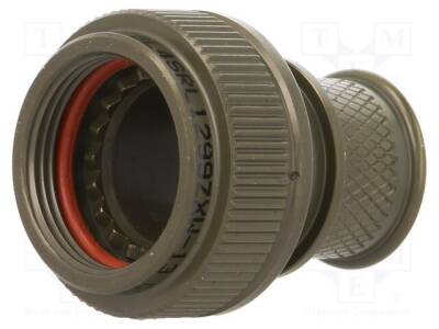 BL4SRL1299ZXW-13 - 1