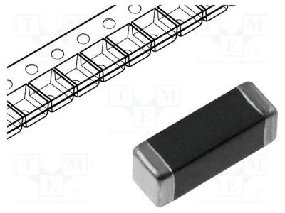 BLM41AF800SN1L - 1
