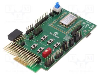 BM-70-PICTAIL - 1
