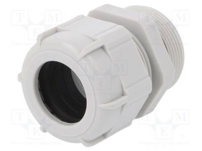 BM4029L - 1