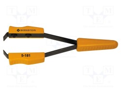 BRN-5-181 - BERNSTEIN