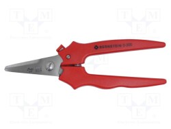 BRN-5-305 - BERNSTEIN