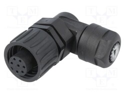 C16-1-3105-081 - AMPHENOL