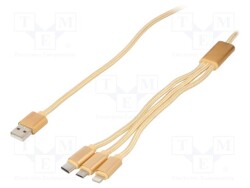 CC-USB2-AM31-1M-G - GEMBIRD