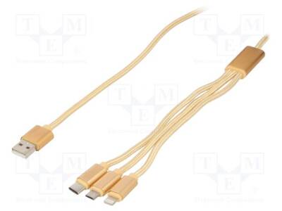 CC-USB2-AM31-1M-G - 1