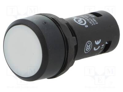 CP1-10W-10 - 1