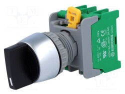 CS22-2-O-BK - AUSPICIOUS