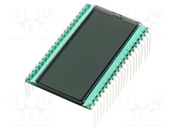 DE113-RS-20/12.2 - DISPLAY ELEKTRONIK