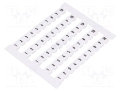 DEK5-FWZ1-10 - WEIDMÜLLER