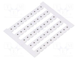 DEK5-GW-+ - WEIDMÜLLER