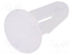 DF-137-031 - ESSENTRA