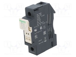 DF101 - SCHNEIDER ELECTRIC