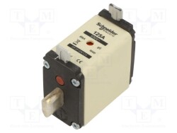 DF2FGN125 - SCHNEIDER ELECTRIC