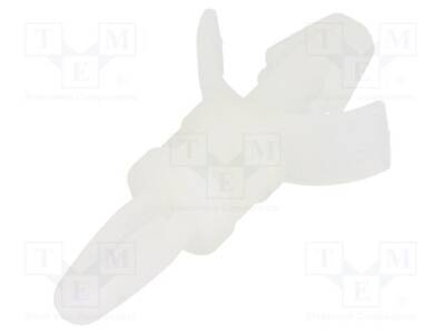 DR8G813V40362 - 1