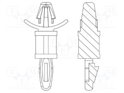 DR8G813V41556 - 1