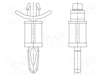 DR8G814V42029 - 1