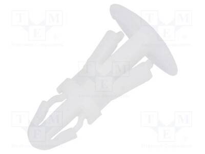 DR8G820V40579 - 1