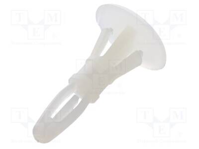 DR8G820V40989 - 1