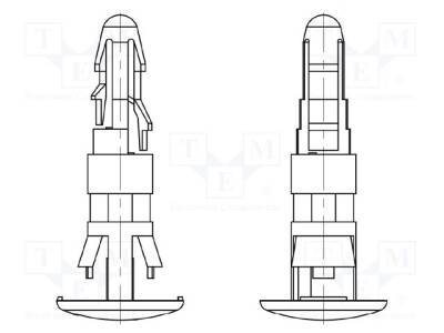 DR8GG01V42571 - 1