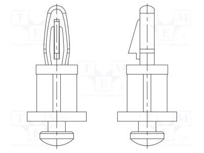 DR8GG02V40978 - 1