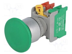 EB22-1-O/C-G - AUSPICIOUS