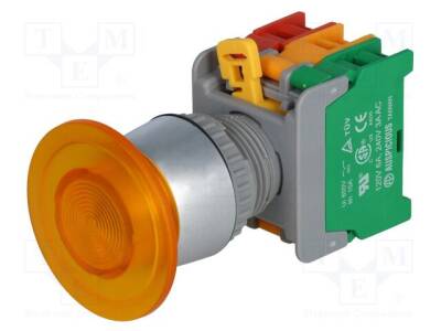 EBL22-1-O/C-Y - 1