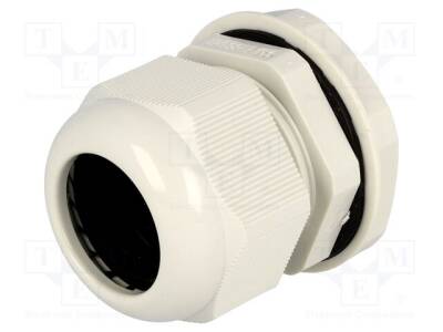 EG-29GY1 - 1