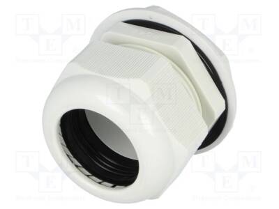 EG-42GY1 - 1