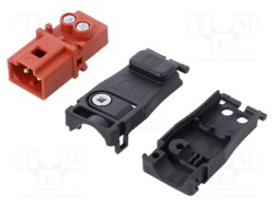 EPN0029 - AAG STUCCHI