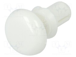 ESS-10172735 - ESSENTRA