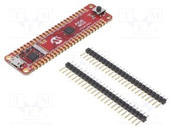 EV35F40A - MICROCHIP TECHNOLOGY