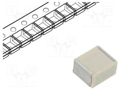 F161WP105K063V - 1