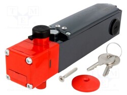 FG-60AD6D0A - PIZZATO ELETTRICA