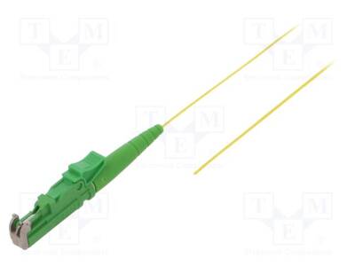 FIBRAIN-PIG-008 - 1