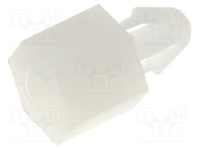 FIX-MAE-5TV - 1