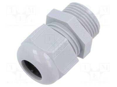 HELU-903534 - 1