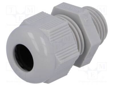HELU-92667 - 1