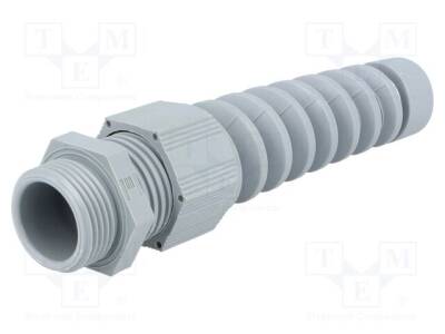 HELU-93853 - 1