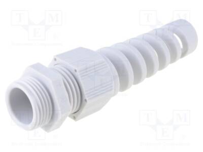 HELU-93862 - 1