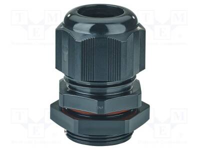 HENSEL-AXM-32 - 2