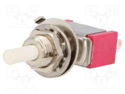 IC1107P1B10M1QE - IC SWITCHES
