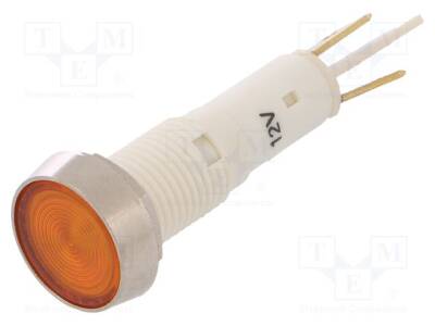 IND10P-12Y-C - 1